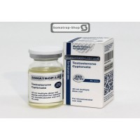 SOMATROP-LAB - TESTOSTERONE CYPIONATE (250 MG/ML)